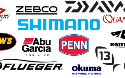 Mejores Marcas de Pesca