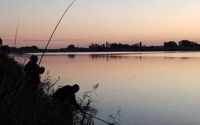 Mejores Lugares de Pesca en Madrid