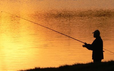 Pesca al Coup
