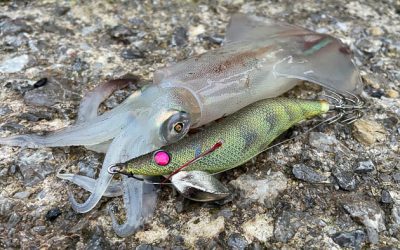 Pesca al Eging