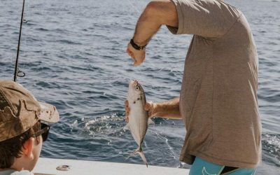 La Pesca con Cebo Vivo