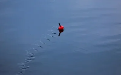 Pesca con Boya