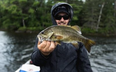 Pesca de Depredadores en España