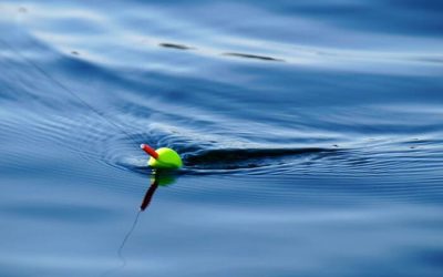 Pesca en Pantanos en España