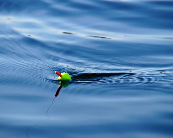 Pesca en Pantanos en España