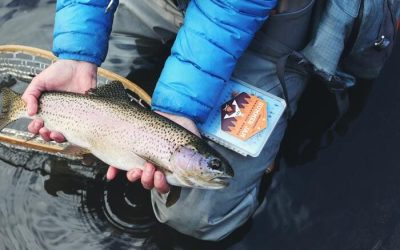 Pesca en Río en España