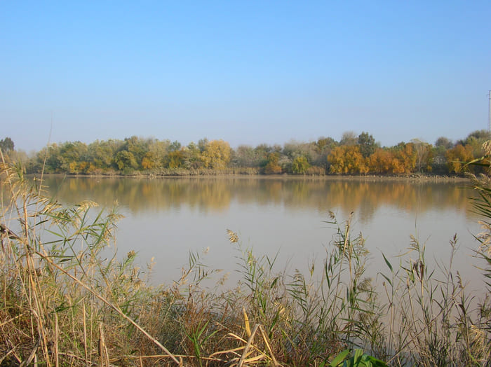 Pesca en el Río Guadalquivir