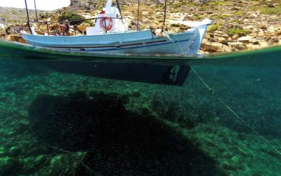 La Pesca Submarina en España