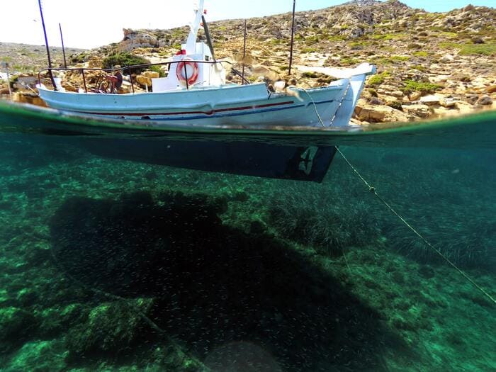 La Pesca Submarina en España