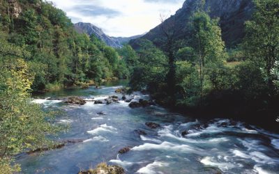 Dónde Pescar en Asturias en Agua Dulce