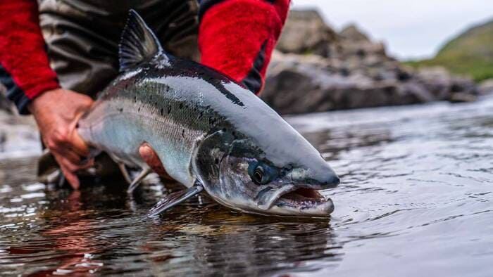 Pesca en el Río Eo