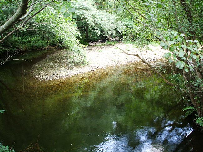 Pesca en el Río Porcia