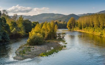 Pesca en el Río Nalón