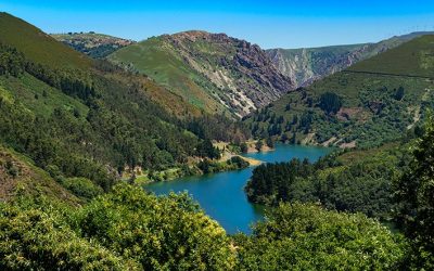 Pesca en el Embalse de la Barca