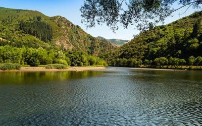 Pesca en el Embalse de La Florida