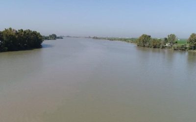 Pesca en el Río Guadalquivir