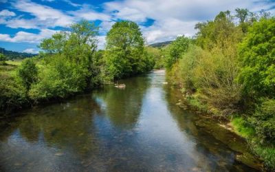 Pesca en el Río Piloña