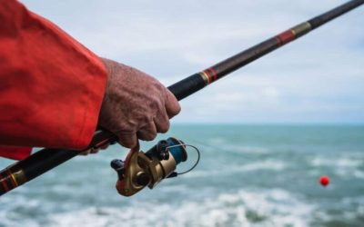 Carretes de Pesca. Guía definitiva en 2023