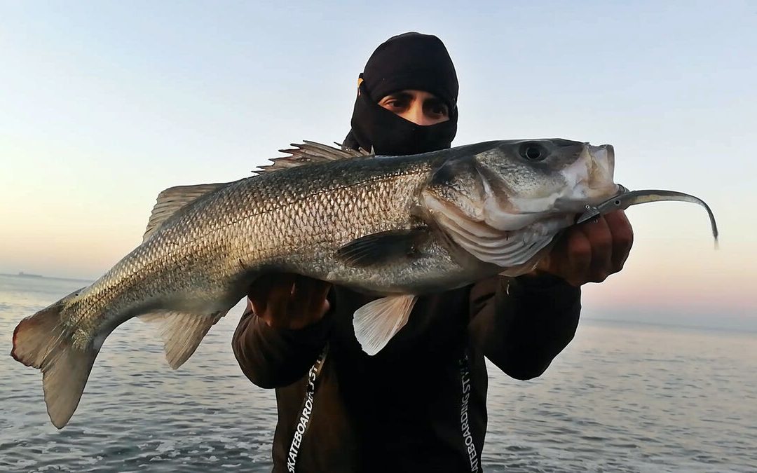 Mejores Influencers de Pesca en España