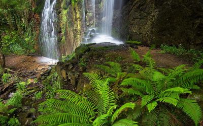 ¿Cómo puedo encontrar lugares secretos de pesca en Asturias?