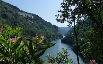 Pesca en el Embalse de Bembézar