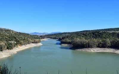 Pesca en el Embalse de Bornos