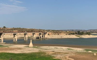 Pesca en el Embalse de Mequinenza – Caspe