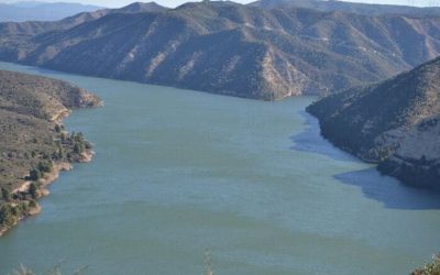 Pesca en el Embalse de Ribarroja
