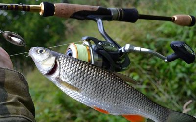 Pesca del Escalo o Cacho