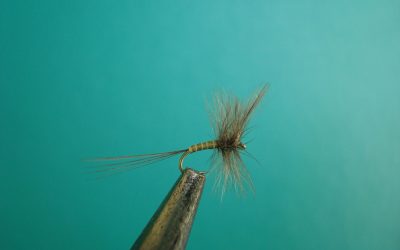 Pesca con Mosca Seca