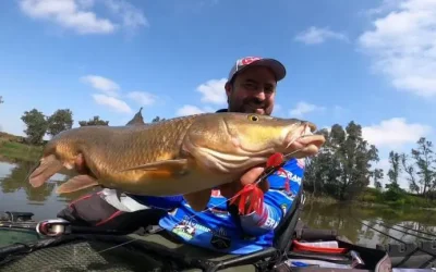 Pesca en el Río Guadiana