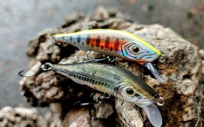 Jerkbaits lures para la pesca del Black Bass