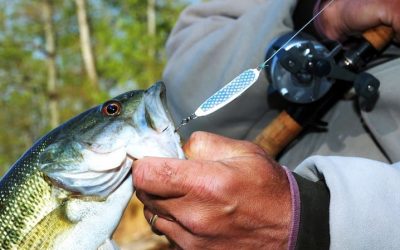¿Es necesario utilizar una caña de pesca específica para la pesca con cucharilla?