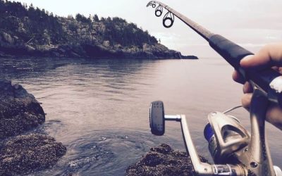 Cañas de pesca a spinning, guía y consejos para 2023