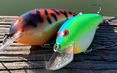 Crankbait para la pesca del Black Bass