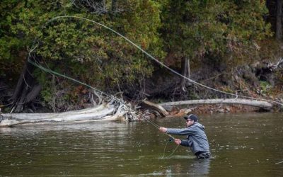 Errores que debes evitar en la pesca con mosca