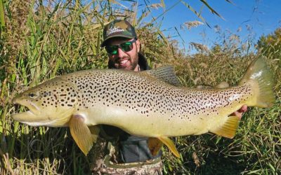Cómo iniciarse en la pesca de la trucha en ríos pequeños