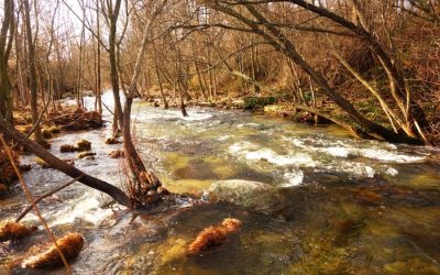 Pesca en el Río Manzanares