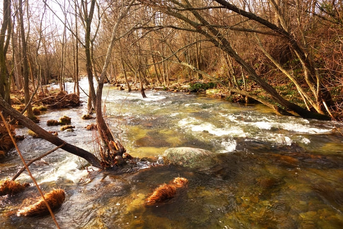 Pesca en el Río Manzanares