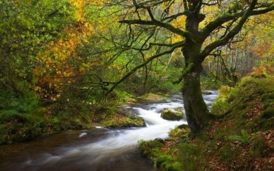 Pesca en el Río Pajares
