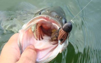 Popper para la Pesca del Black Bass