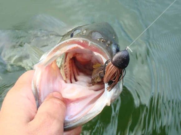 Popper para la Pesca del Black Bass