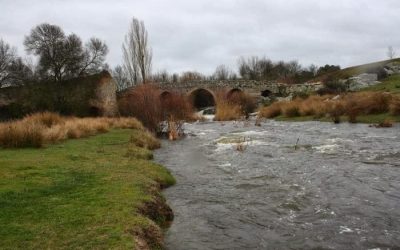 Pesca en el Río Voltoya