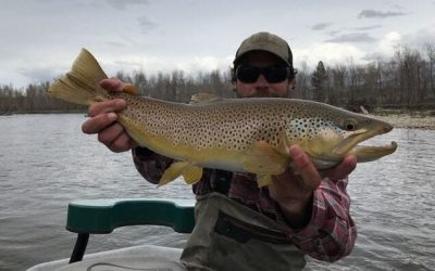 10 Consejos Para Conseguir La Trucha Más Grande
