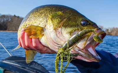 Jigs para la pesca del Black Bass