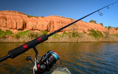 10 Consejos para Elegir Tu Caña de Pescar