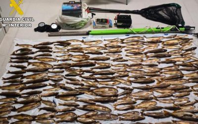 200 truchas en el maletero pescadas con electrocución