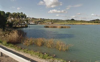 Pesca en el Embalse de Arcos en Cádiz