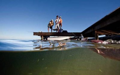Pesca en el Muelle