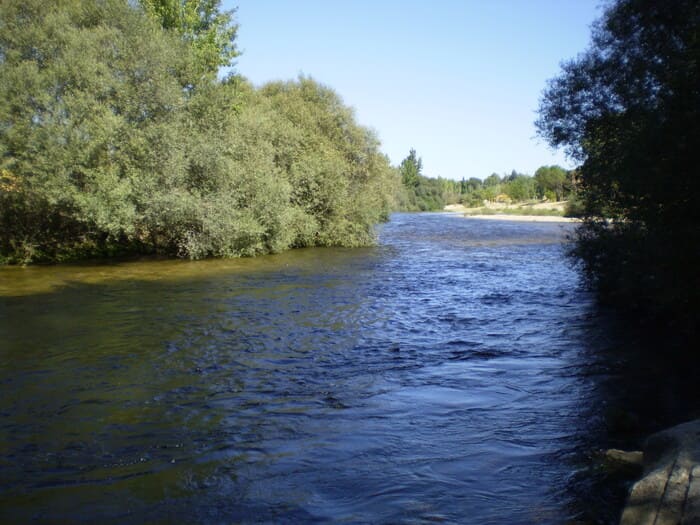 Pesca en el Río Alberche en Ávila